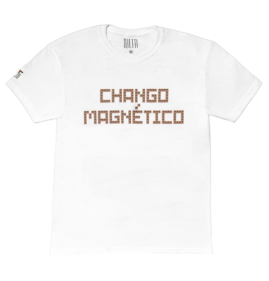 CHANGO MAGNETICO